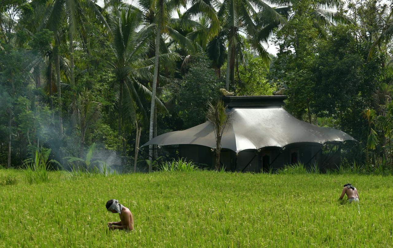 Capella Ubud, Bali Buitenkant foto