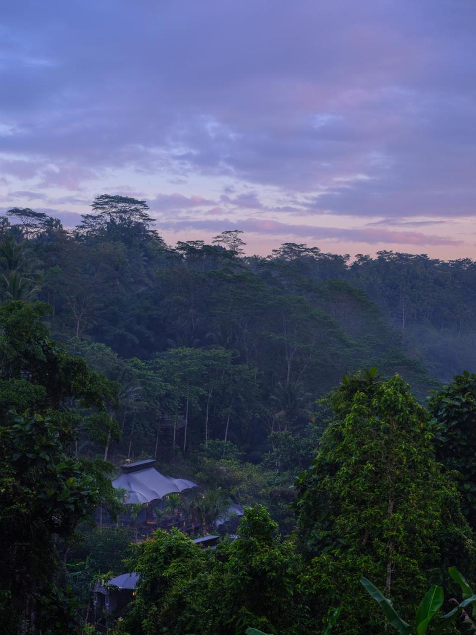 Capella Ubud, Bali Buitenkant foto