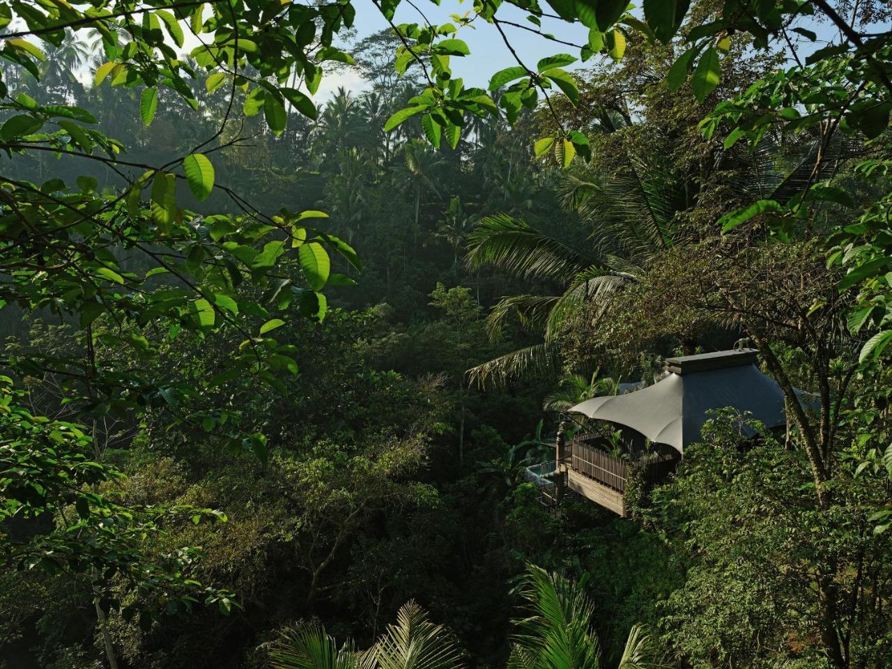 Capella Ubud, Bali Buitenkant foto